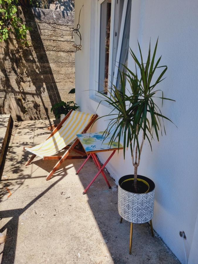 Dora Budva